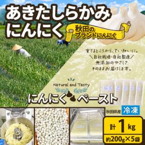 ふるさと納税 大館市 あきたしらかみにんにく 冷凍ペースト1kg