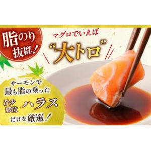 ふるさと納税 気仙沼市 訳あり サーモン 刺身...の詳細画像2