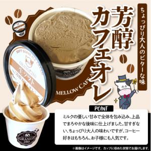 ふるさと納税 豊富町 生ソフトクリーム ミルク...の詳細画像1