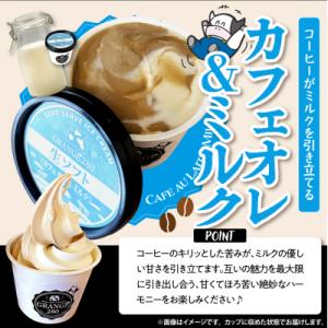ふるさと納税 豊富町 生ソフトクリーム ミルク...の詳細画像2