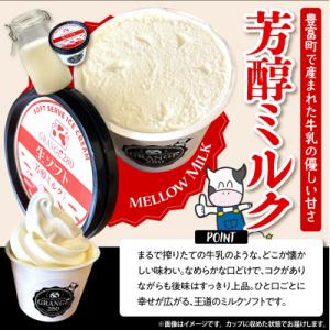 ふるさと納税 豊富町 生ソフトクリーム ミルク...の詳細画像3