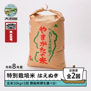 ふるさと納税 大石田町 【先行予約】 【2回定期便】 新米 米 はえぬき 30kg 玄米 令和8年産...