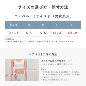 ふるさと納税 名古屋市 SIXPAD Core...の詳細画像3