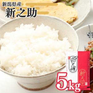 ふるさと納税 三条市 新潟県三条産新之助 5kg×1袋 令和8年産新之助 精米 新潟県産新之助【01...