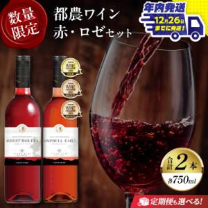 ふるさと納税 都農町 ＼年内発送!!/都農ワイン赤・ロゼ(辛口・甘口)2本セット 酒 飲料_T014...