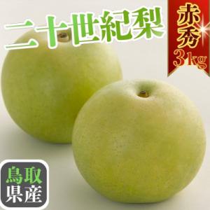 ふるさと納税 八頭町 二十世紀梨(赤秀) 3kg【Y's Farm Tottori】