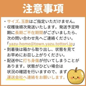 ふるさと納税 八頭町 【2027年発送分先行受...の詳細画像3