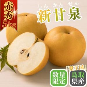 ふるさと納税 八頭町 新甘泉(赤秀) 5kg【Y's Farm Tottori】