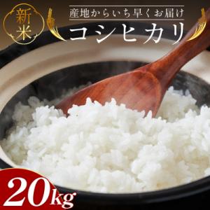 ふるさと納税 香南市 【11〜12月お届け】新米コシヒカリ 20kg at-0048