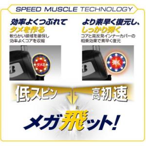 ふるさと納税 関市 3ダースTOUR B JG...の詳細画像3