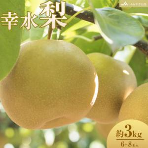 ふるさと納税 角田市 【JAみやぎ仙南】梨「幸水」約3kg (6〜8玉入)