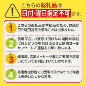 ふるさと納税 角田市 【JAみやぎ仙南】梨「幸...の詳細画像2