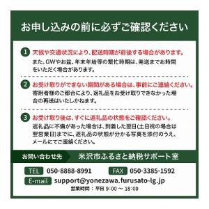 ふるさと納税 米沢市 「日乃本帆布」デイパック...の詳細画像1