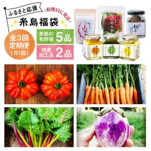 ふるさと納税 糸島市 【全3回定期便】朝採りオーガニック旬野菜5品+糸島産 大ヒット特産加工品2品セ...