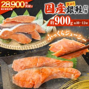 ふるさと納税 石巻市 《訳あり》 産地直送! 国産銀鮭 定塩切身 0.9kg 冷凍 鮭 切り身 石巻市