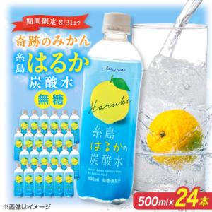 ふるさと納税 糸島市 【期間限定】糸島はるかの炭酸水 500ml×24本入り 糸島市/スターナイン ...