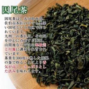 ふるさと納税 佐伯市 釜炒り 因尾茶 ティーバ...の詳細画像2