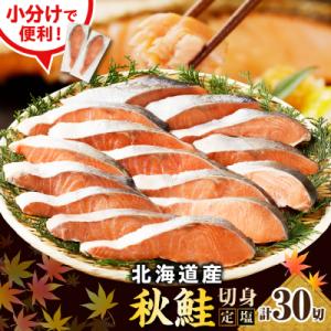 ふるさと納税 えりも町 えりも【マルデン特製】北海道産定塩鮭切身30切【er002-102】