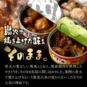 ふるさと納税 富士市 やきとり缶詰ゴーゴーカレ...の詳細画像1