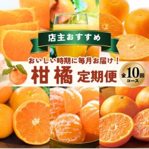 ふるさと納税 紀宝町 【全10回】 柑橘 定期便 石本果樹園 店主おすすめの柑橘セットをお届け!【tkb509】｜Yahoo!ふるさと納税