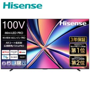 ふるさと納税 川崎市 Hisense 【標準設置費込み】 液晶テレビ 100V型 (要事前見積)