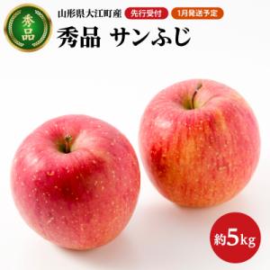 ふるさと納税 大江町 《先行受付》【2027年1月発送予定】 サンふじ約5kg・秀品【大江町産・大地農産】 028-026