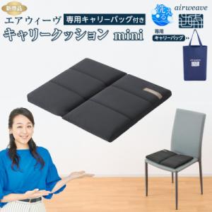 ふるさと納税 大府市 エアウィーヴ キャリークッションmini