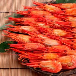 ふるさと納税 根室市 【北海道根室産】北海シマエビ400g(19〜24尾) A-81011｜Yahoo!ふるさと納税