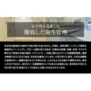 ふるさと納税 氷川町 国産 赤身 馬刺し 1k...の詳細画像1