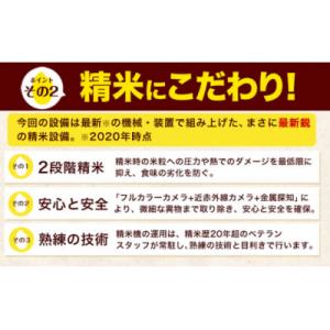 ふるさと納税 氷川町 令和7年産 ひのひかり ...の詳細画像1