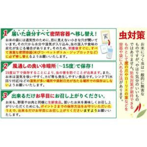 ふるさと納税 氷川町 令和7年産 ひのひかり ...の詳細画像3