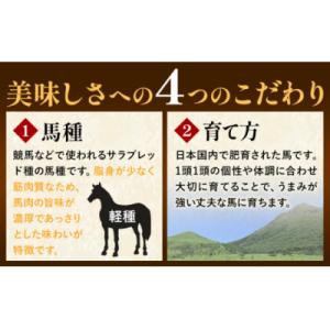 ふるさと納税 氷川町 馬肉 国産 馬刺し と ユッケ の セット約 310g 赤身馬刺し 80g ×...