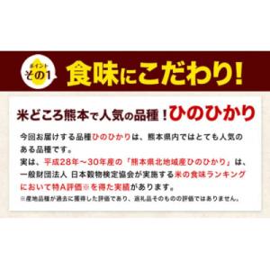 ふるさと納税 氷川町 令和7年産 無洗米 【12ヶ月定期便】 ひのひかり 20kg(5kg×4袋)
