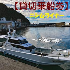 ふるさと納税 奈半利町 遊漁船ニシムライナー貸切りチケット　113013