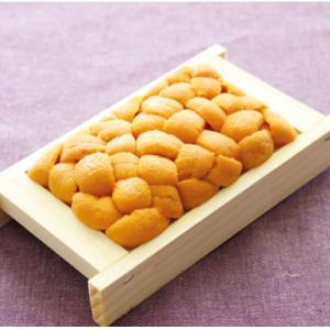 ふるさと納税 根室市 エゾバフンウニ約60〜70g×1折[2026年2月下旬以降発送] G-4000...