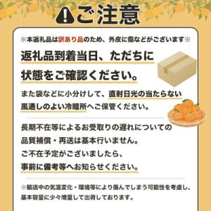 ふるさと納税 土佐清水市 R9.4月 規格外だ...の詳細画像3