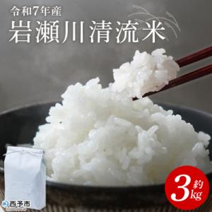 ふるさと納税 西予市 <令和7年産 新米 岩瀬川清流米 3kg 選べる こしひかり コシヒカリ