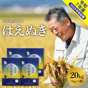 ふるさと納税 河北町 【令和7年産米】2026年5月上旬発送 はえぬき20kg(5kg×4袋) 山形県産