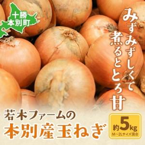 ふるさと納税 本別町 【先行受付】令和8年度産北海道十勝本別町若木ファームの玉ねぎ約5kg(北もみじ...