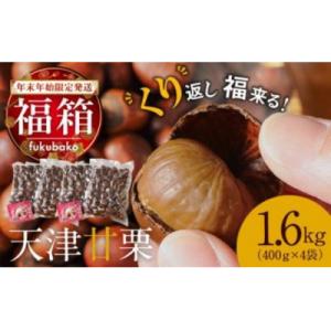 ふるさと納税 碧南市 【福箱★2026】【くり返し福来る!】やさしい甘みたっぷり「天津甘栗」1.6k...