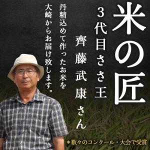 ふるさと納税 大崎市 《精米》宮城県大崎市産 特別栽培米 ササニシキ10kg【2025年産】