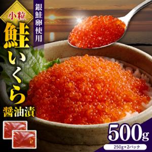 ふるさと納税 えりも町 えりも【マルデン特製】鮭いくら醤油漬け250g×2箱【er002-098】