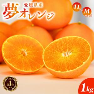 ふるさと納税 愛南町 【紅まどんな と同品種】【訳あり】みかん職人の夢オレンジ1kg みかん 愛南町...