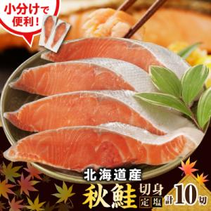 ふるさと納税 えりも町 えりも【マルデン特製】北海道産定塩鮭切身10切【er002-101】