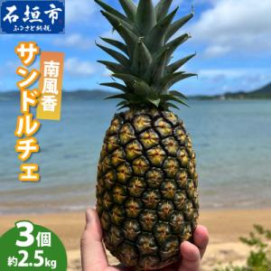 ふるさと納税 石垣市 【先行予約】南風香 サンドルチェ 3玉 約2.5kg <2027年6月以降順次...