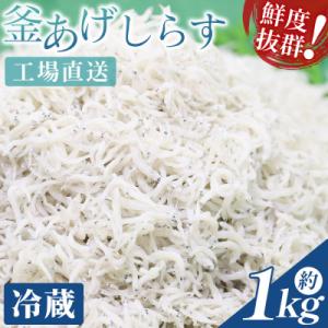 ふるさと納税 香南市 【冷蔵】釜揚げしらす(ちりめん) 約1kg しらす干し しらす mu-0008