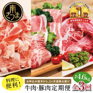 ふるさと納税 南さつま市 【定期便 全3回】鹿児島県産 便利な牛肉・豚肉 定期便 計4.6kg