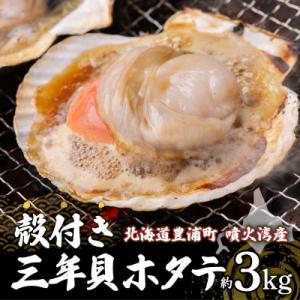 ふるさと納税 豊浦町 【先行受付】北海道 豊浦町 殻付き 3年貝 活ホタテ 約3kg TYUP005