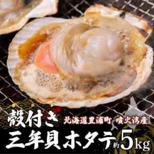 ふるさと納税 豊浦町 【先行受付】北海道 豊浦町 殻付き 3年貝 活ホタテ 約5kg TYUP006