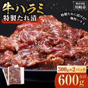 ふるさと納税 川崎市 【順次発送】訳あり 牛ハラミ 特製たれ漬 600g 牛肉 お肉 肉 タレ漬け ハラミ 焼肉 焼き肉